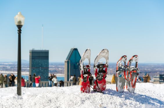 Coge tus raquetas de nieve y descubre nuevos horizontes