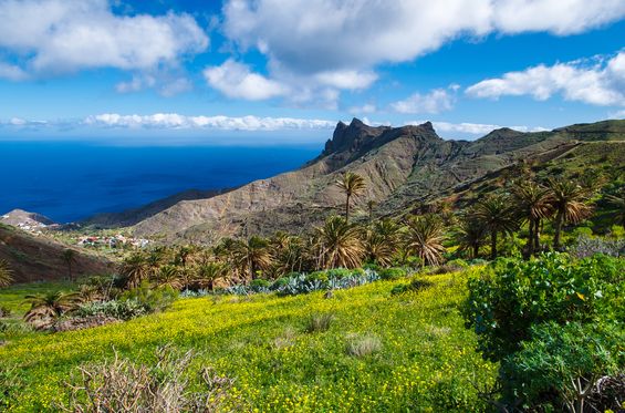 Descubrir la isla vecina de La Gomera