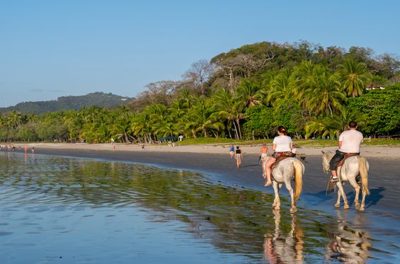 Paseos a caballo por la selva