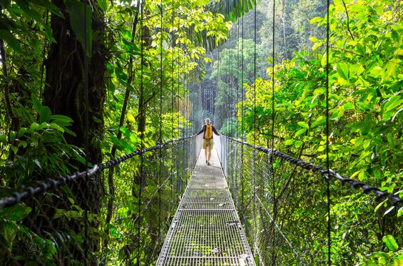 Rutas por la selva