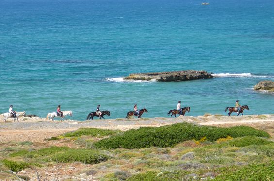 Pasea en caballo y descubre Creta de manera diferente