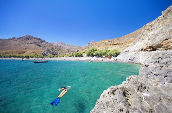 Sumérgete en el agua y descubre una increíble fauna