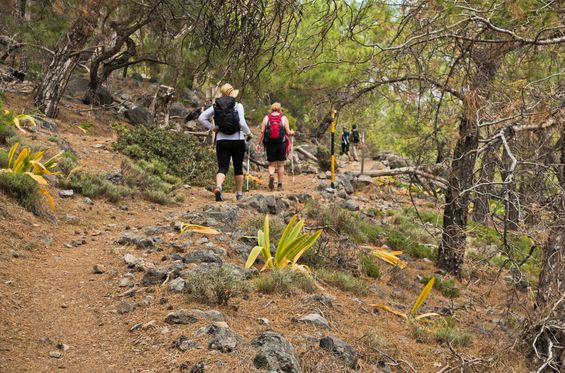 Rutas en medio de paisajes espectaculares