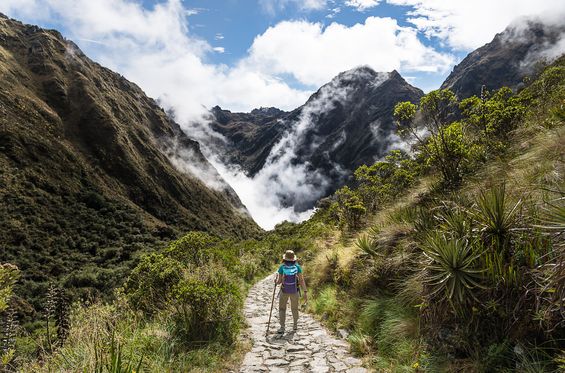 Hacer trekking