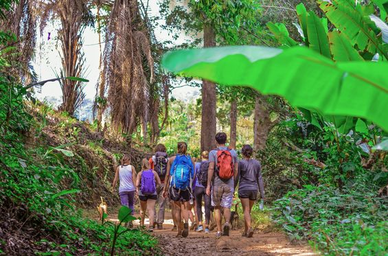 Rutas por la selva