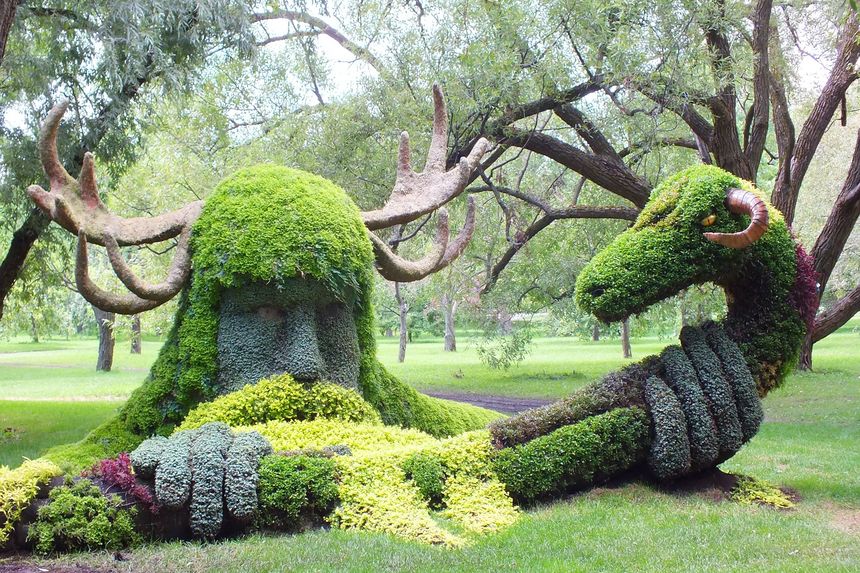 El Jardín botánico