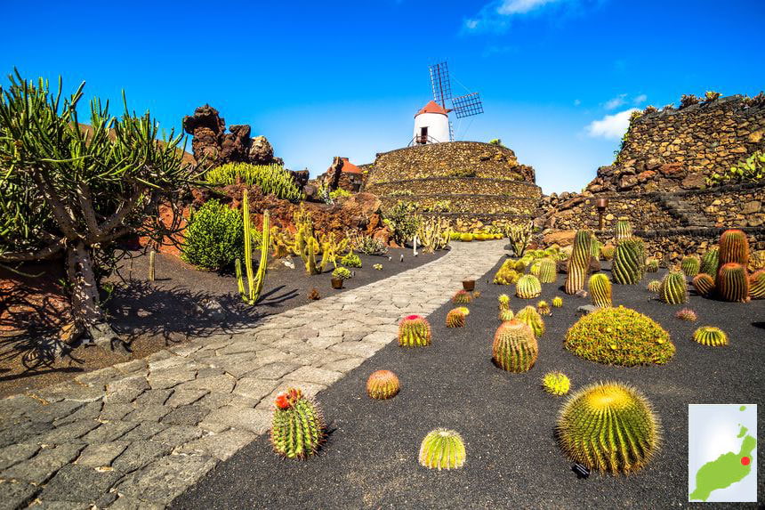 Jardín de Cactus