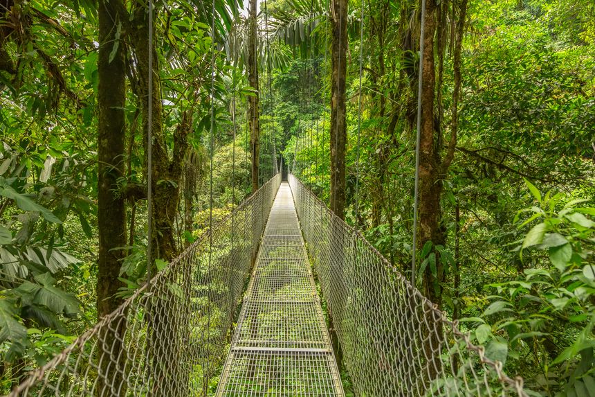 Reserva de Monteverde