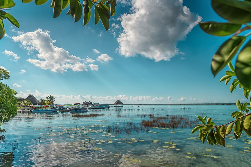 Bacalar