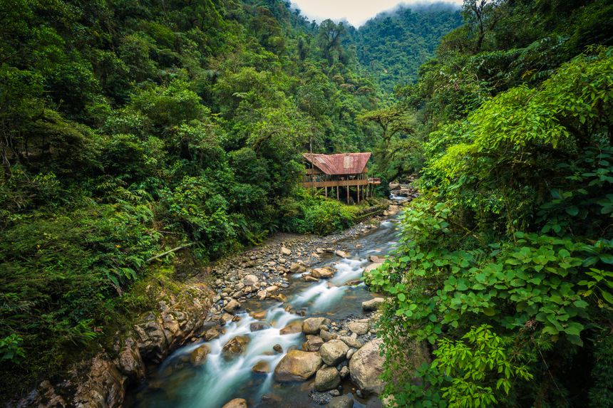 El Parque Nacional del Manu