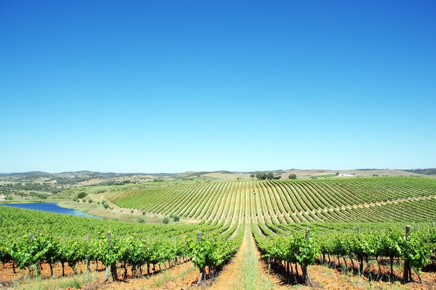 Ruta de los vinos del Alentejo