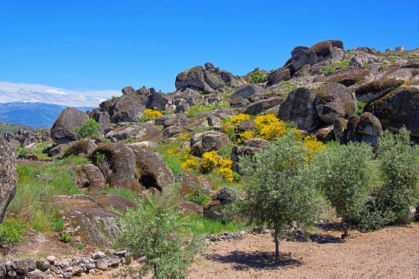 Parque natural de la Sierra de la Estrella (Serra da Estrela)