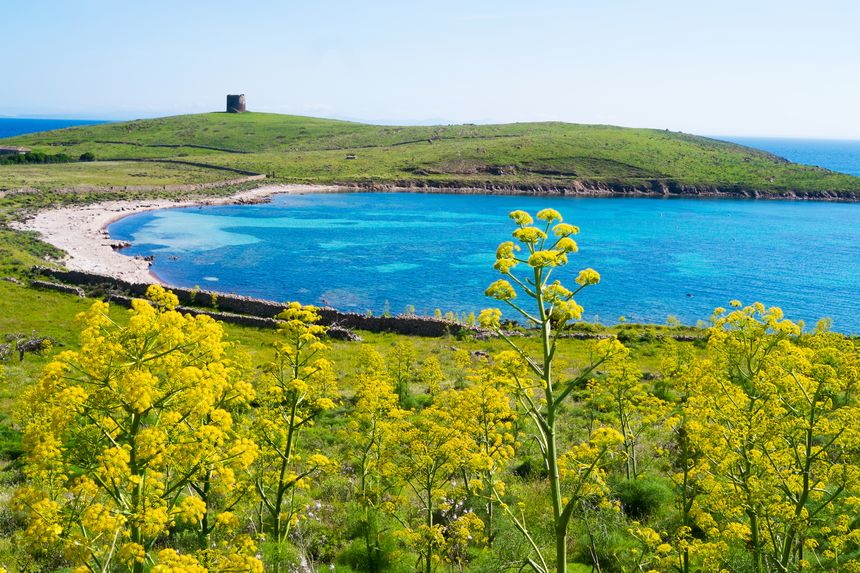 Parco Dell'Asinara