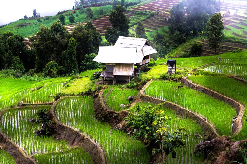 Chiang Rai y el Triángulo de Oro