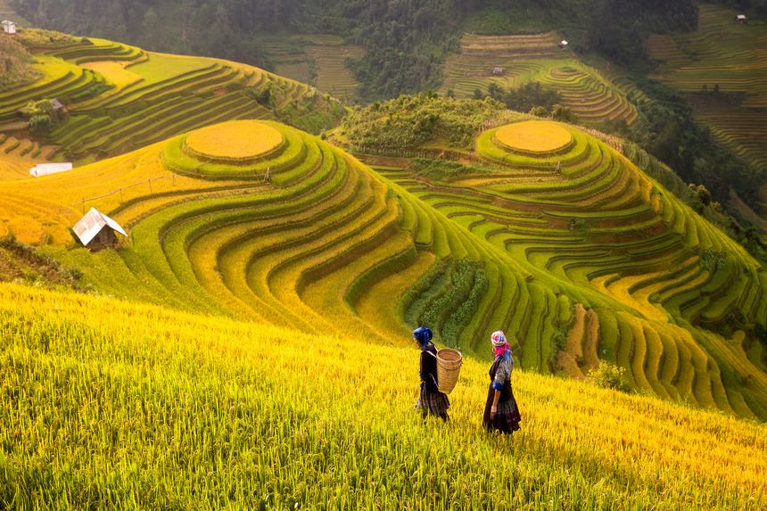 Sapa y las montañas del norte de Vietnam