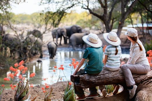 viaje famille Sudáfrica