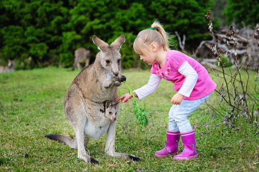 viaje famille Australia