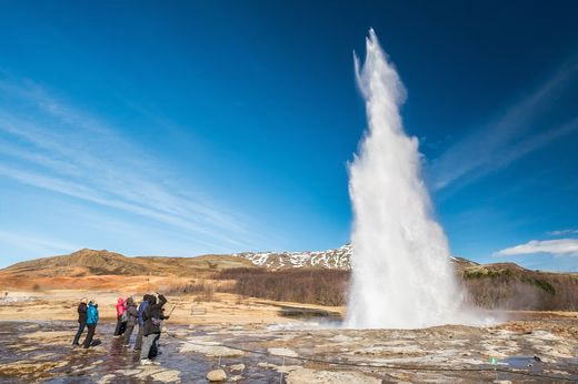 famille Islandia