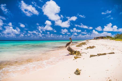 viaje noces Bonaire