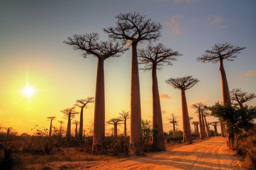 viaje noces Madagascar