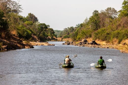 safari Zambia