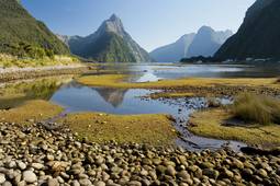 Nueva Zelanda