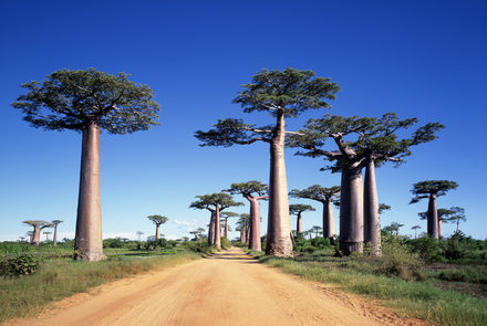 Madagascar