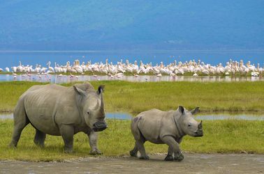 Parc national de Nairobi