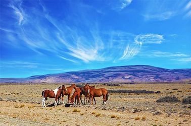 La région de Cordoba