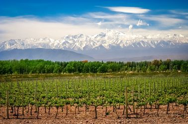 Vignobles vers Mendoza