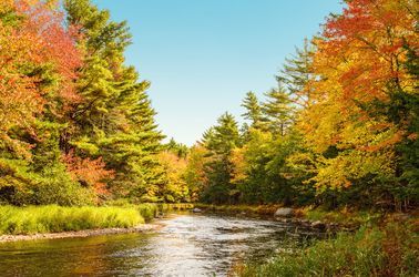 Le parc national de Kejimkujik