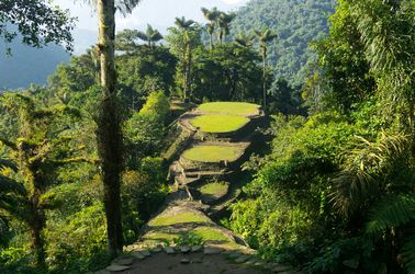 La jungle de Lost City
