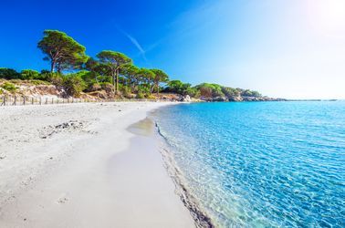La plage de Palombaggia