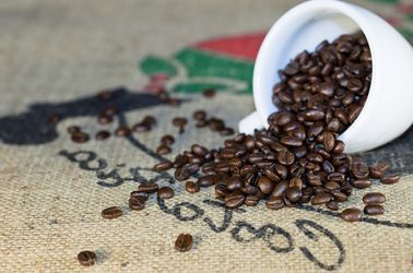 Le café de la région de Tarrazu, un des meilleurs au monde !