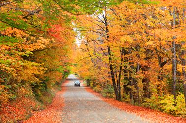 La forêt nationale de White Mountain 