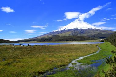 Le volcan Cotopaxi
