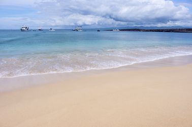 Plage sur l'île Baltra