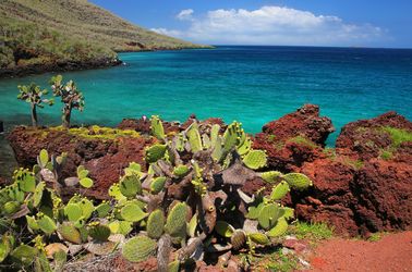 Les îles Galápagos