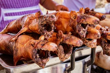 Cochons d'Inde grillés