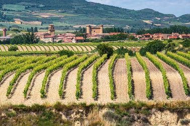 Les vignobles de Rioja