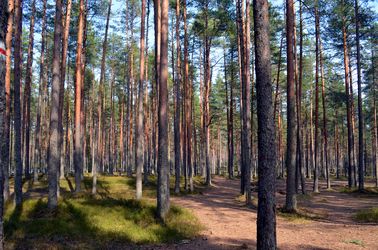 Le parc national de Lahemaa