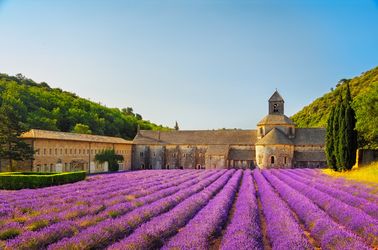 L'abbaye Notre-Dame de Sénanque