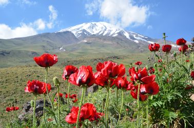 Le mont Damavand