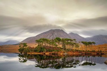 Le Connemara