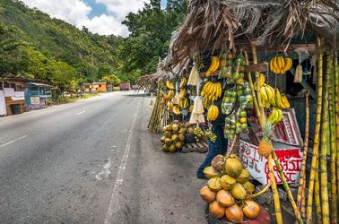 Stands de fruits