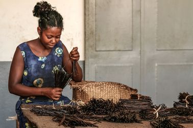 La vanille bourbon de Madagascar