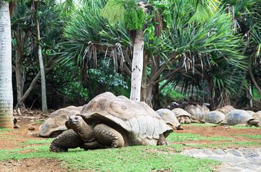 La Vanille Nature Park, réserve naturelle