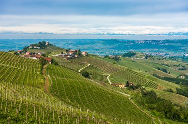 Les vignobles de Piémont