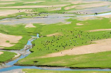 La vallée de l'Orkhon