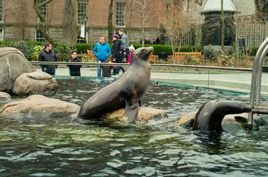 Le zoo de Central Park